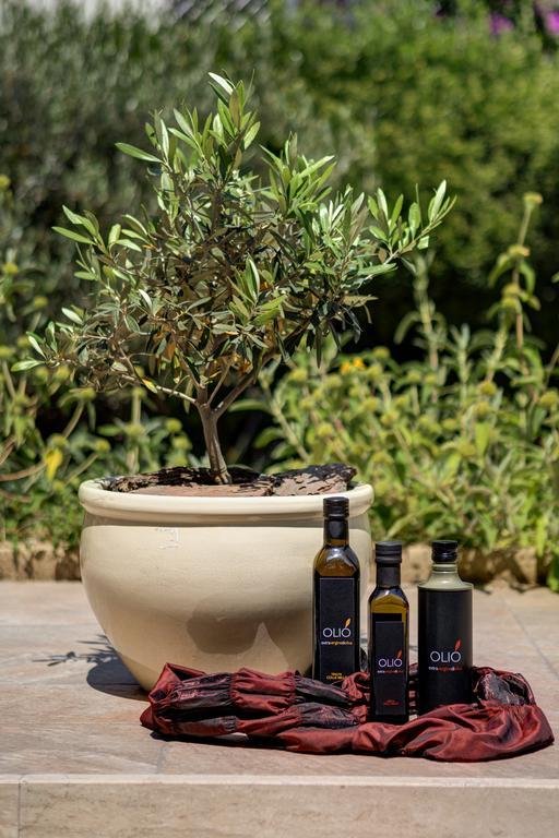 Appia Antica Resort Рим Экстерьер фото